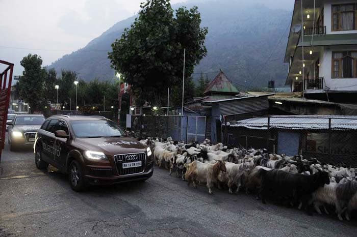 Audi Great India quattro Drive 3 photo gallery  