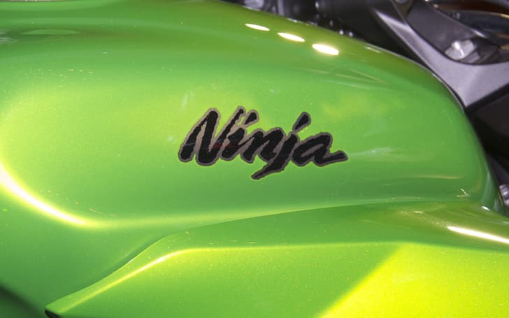New Kawasaki Ninja 1000 India photo gallery