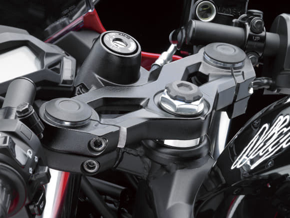 Kawasaki Ninja 250 RR Mono photo gallery