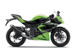 Kawasaki Ninja 250 RR Mono photo gallery