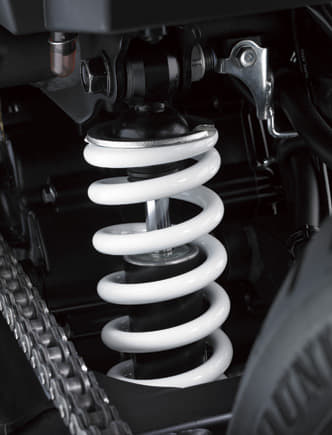 Kawasaki Ninja 250 RR Mono photo gallery