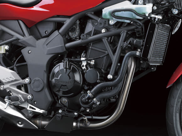 Kawasaki Ninja 250 RR Mono photo gallery