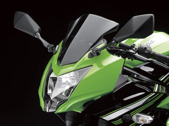 Kawasaki Ninja 250 RR Mono photo gallery