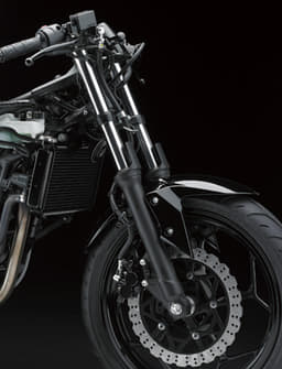 Kawasaki Ninja 250 RR Mono photo gallery