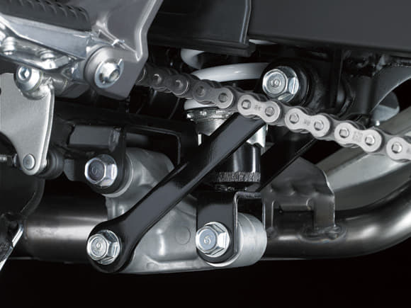 Kawasaki Ninja 250 RR Mono photo gallery