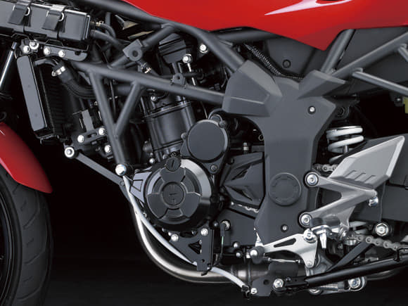 Kawasaki Ninja 250 RR Mono photo gallery