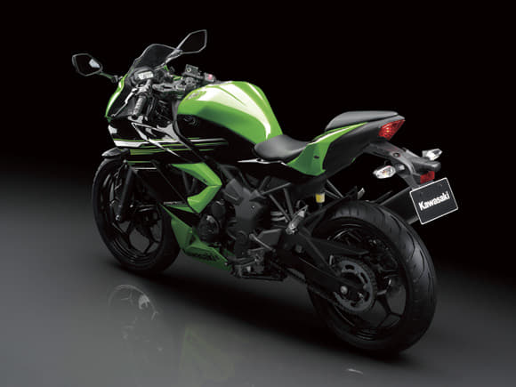 Kawasaki Ninja 250 RR Mono photo gallery