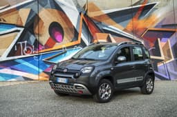 2017 Fiat Panda Cross photo gallery