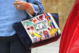 Zita Goenka’s Beetle handbag added colour to the proceedings.