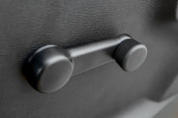 Maruti Suzuki S Presso Door Controls