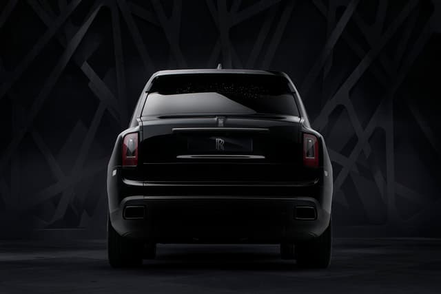Rear View Image - 555
