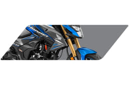 Unlike the older Hornet 160R, the Hornet 2.0 features a USD fork.