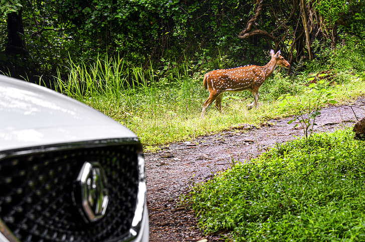 Green Mumbai Drive 2021 image gallery