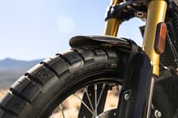 Royal Enfield Bear 650 image gallery