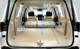 Toyota Land Cruiser Rear View