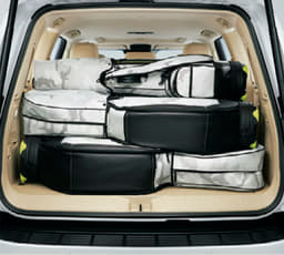 Toyota Land Cruiser Rear View