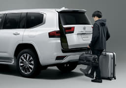 Toyota Land Cruiser Rear View
