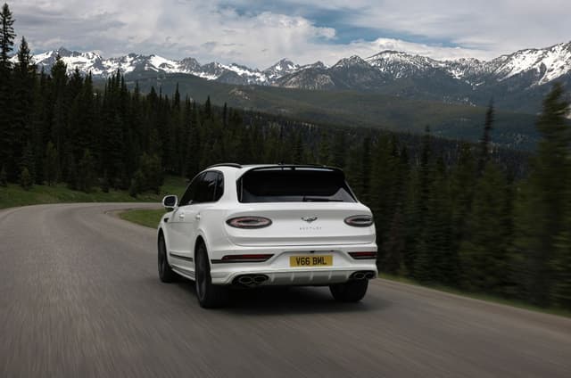 Rear View Image - 7193