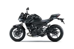 Z250 side profile studio shot