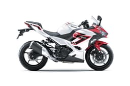 Ninja 250 side profile studio shot