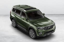 Mahindra Scorpio N in Deep Forest
