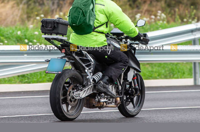 2022-KTM-Duke-rear 2022-KTM-Duke-rear