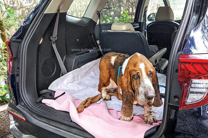 Kia Carens long term review, second report