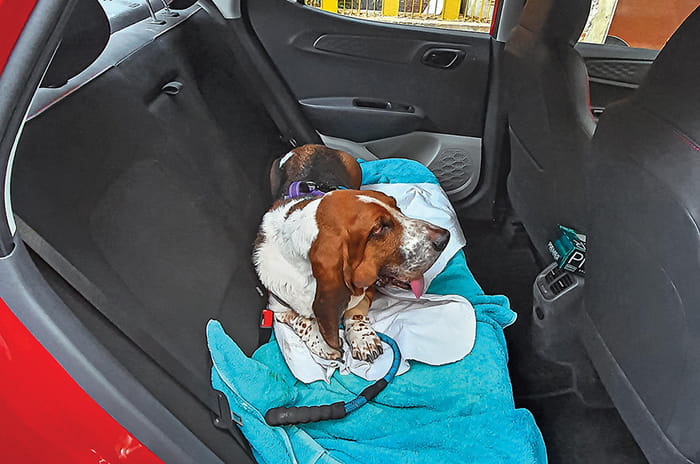 Hyundai Aura long term review, fourth report