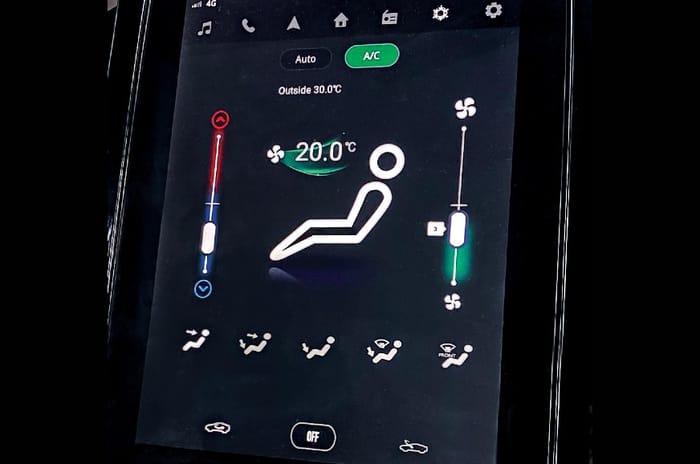 MG Hector long term review, first report