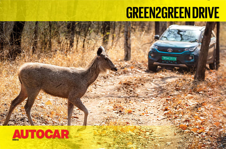 Tata Nexon EV on a safari in the Satpura Tiger Reserve video