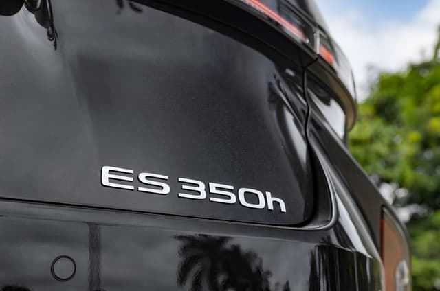 Rear View Image - 38695