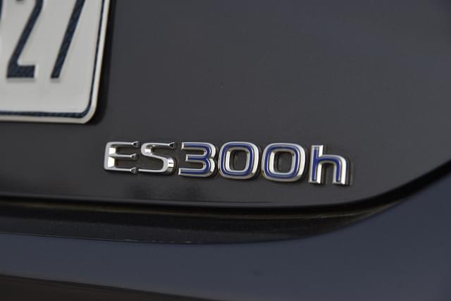 Rear View Image - 11054