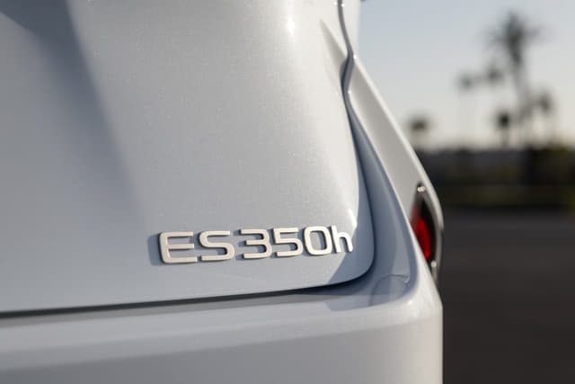 Rear View Image - 37870