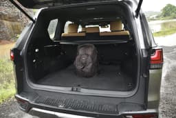 Lexus Lx Rear View