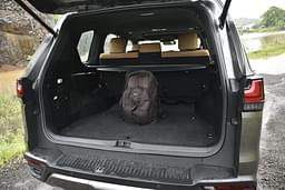 Lexus Lx Rear View