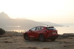 Lexus NX Rear View