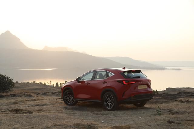 Rear View Image - 11490