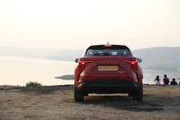 Lexus NX Rear View