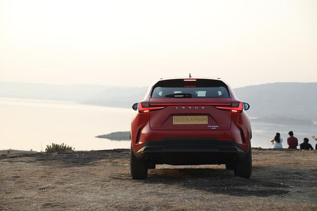 Rear View Image - 11503