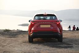 Lexus Nx Rear View