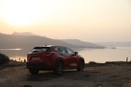 Lexus NX Rear View