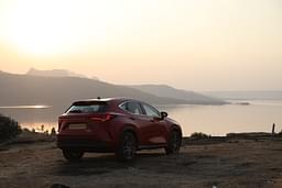 Lexus Nx Rear View