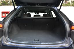 Lexus RX Rear View