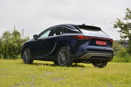 Lexus RX Rear View