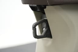 Suzuki Access Color Beige
