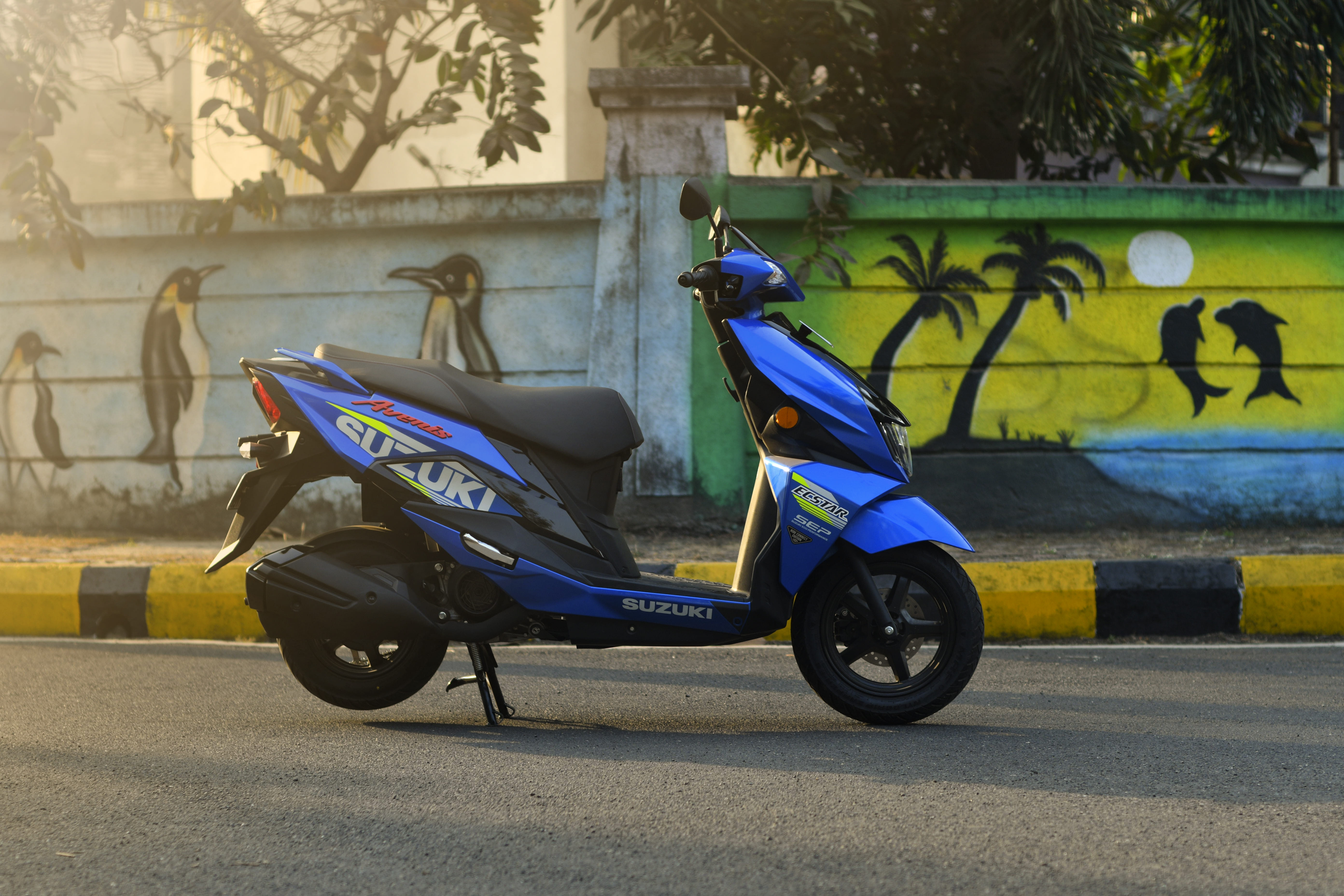 Front View