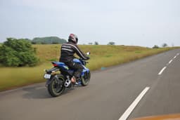 Suzuki Gixxer 250 Rear View