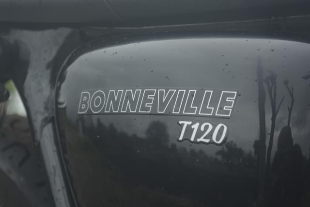 Color Black Image - 28739