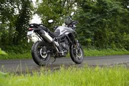 Triumph Tiger 900 Rear View