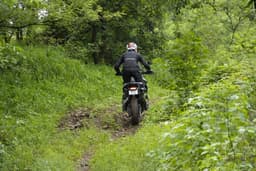 Triumph Tiger 900 Rear View